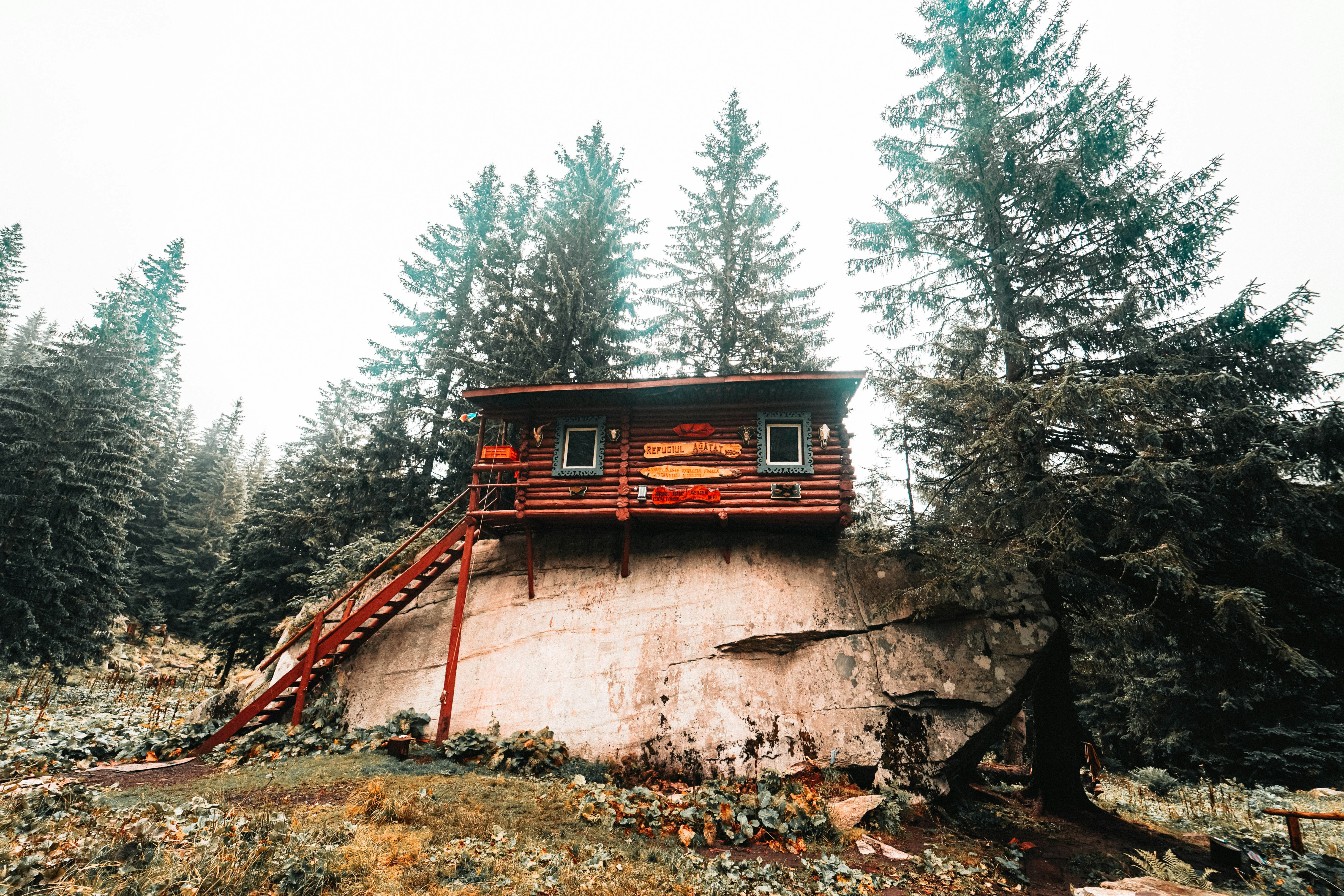 low-angle chalet house surrounded by trees